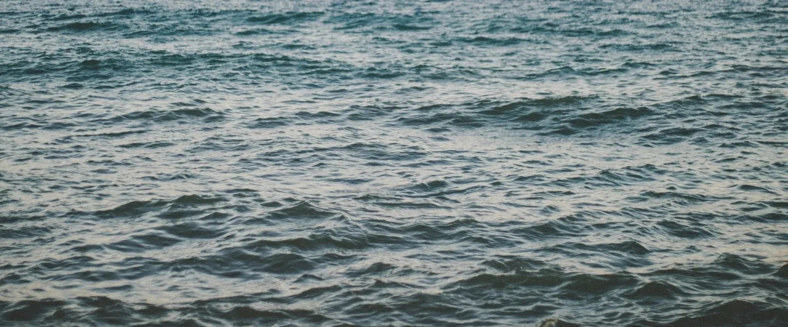 EMDR Therapy Hero Cover